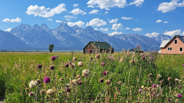 mormon row historic district teton