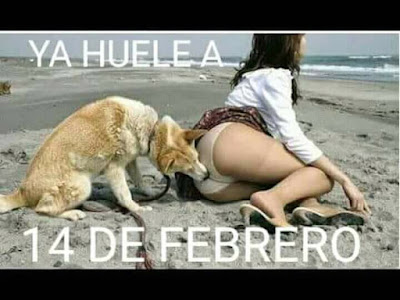 Ya huele a 14 de febrero (Humor)