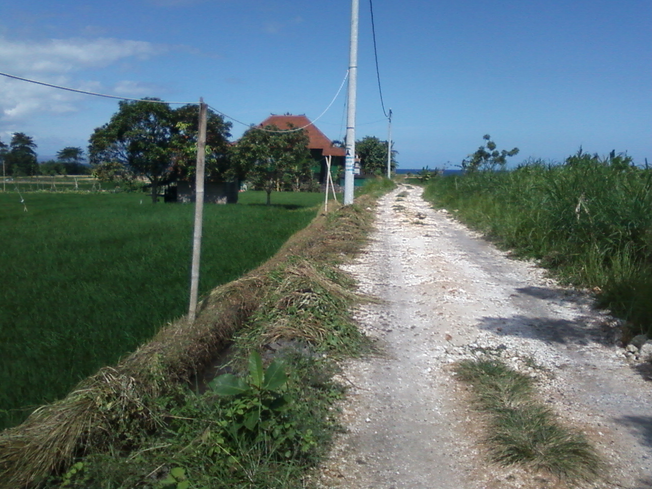 Di Jual Tanah Sawah di Bali BNPLFS005A - Bali Nusa Property