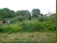Foto0088