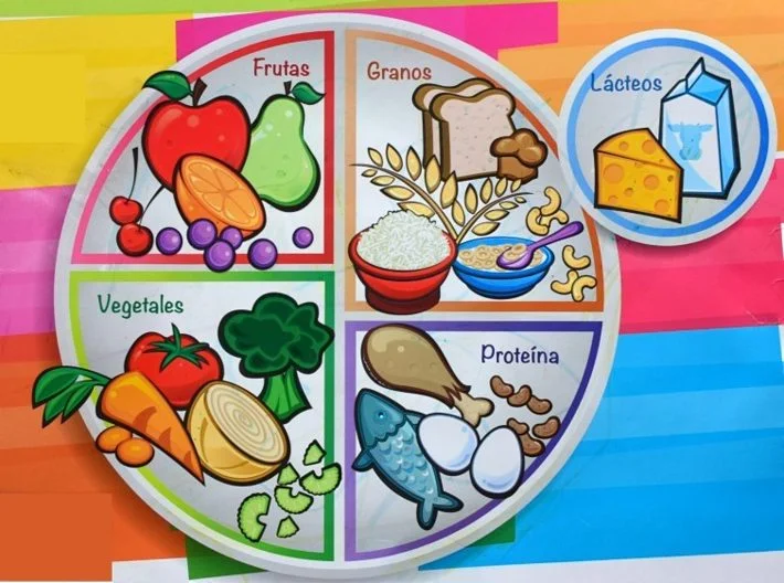 Gráfico del grupo de los alimentos