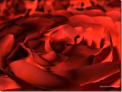 septemberrose