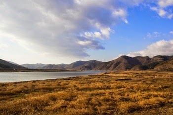 IMG_0645