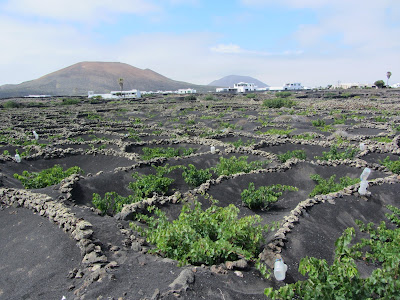 Parque Natural de La Geria