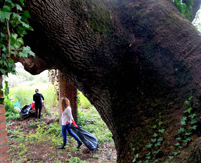 Yogini e Alberi Sacri - Associazione Culturale Orchestès