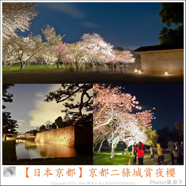 【日本京都】京都二条城(にじょうじょう)賞夜櫻。內有京都市巴士交通方式資訊與地圖下載和日本賞櫻最前線情報