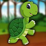 Play Palani Games Cute Turtle Escape Game