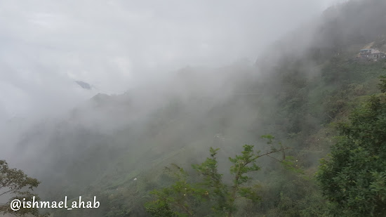 Fogs on Benguet's Mountain