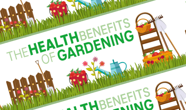 The Health Benefits Of Gardening