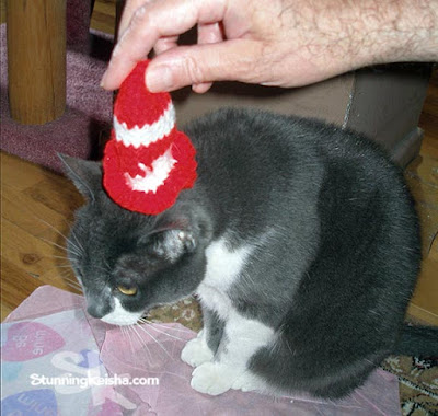 The Cat in the Hat Bites Back