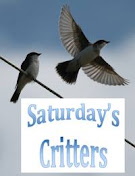 Saturday's Critters