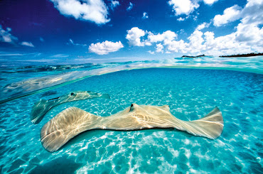 #4 Grand Cayman Wallpaper