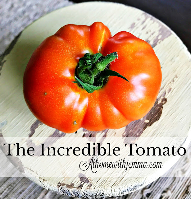 tomato-growing-picking-tips-athomewithjemma