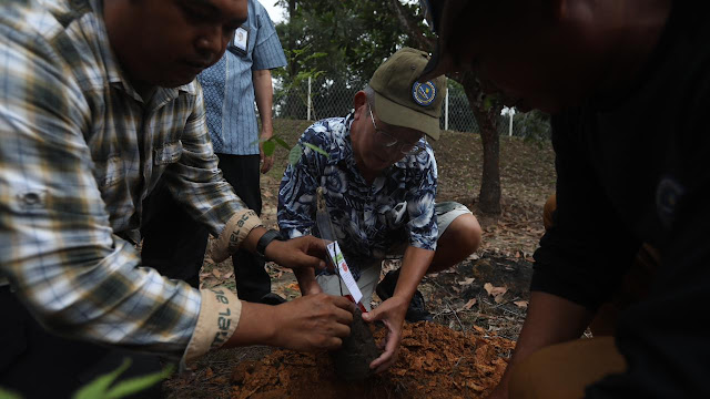 BP Batam dan Jepang Tanam Pohon Dipterocarpacae Sebagai Upaya Penyehatan DTA Batam