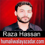 https://aliwalayazadar.blogspot.com/2018/09/raza-hassan-nohay-2019.html