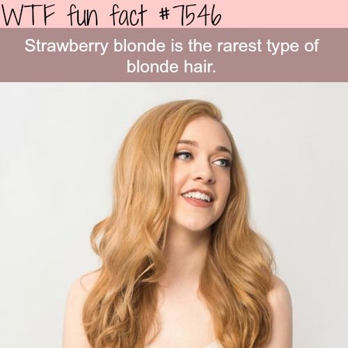 Interesting WTF Fun Facts That You Probably Didn't Know