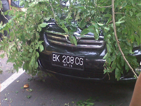 Persewaan Mobil Kota Medan on Kota Medan Mulai Memotong Dahan Batang Pohon Angsana Yang Patah Di Jl