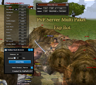 metin2pvpmultihackmobber Multihack Wallhack Cekme ExpBot Pvpserver Metin2 7x Hile indir