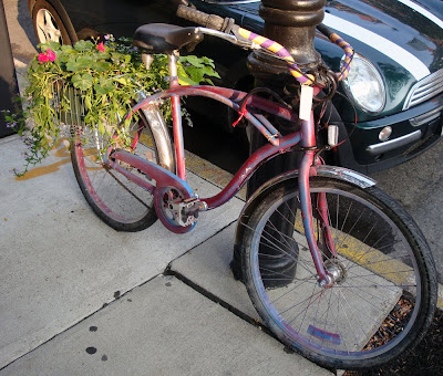 bike flowers garden