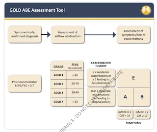 GOLD ABE Assessment Tool