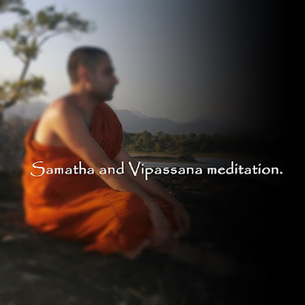 Samatha and Vipassana meditation.