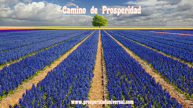 https://www.prosperidaduniversal.org/atraccion-de-prosperidad/yo-soy-prosperidad/camino-atraccion/