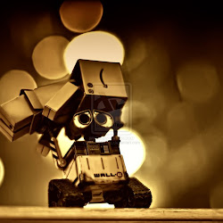 Foto Danbo @ digaleri.com