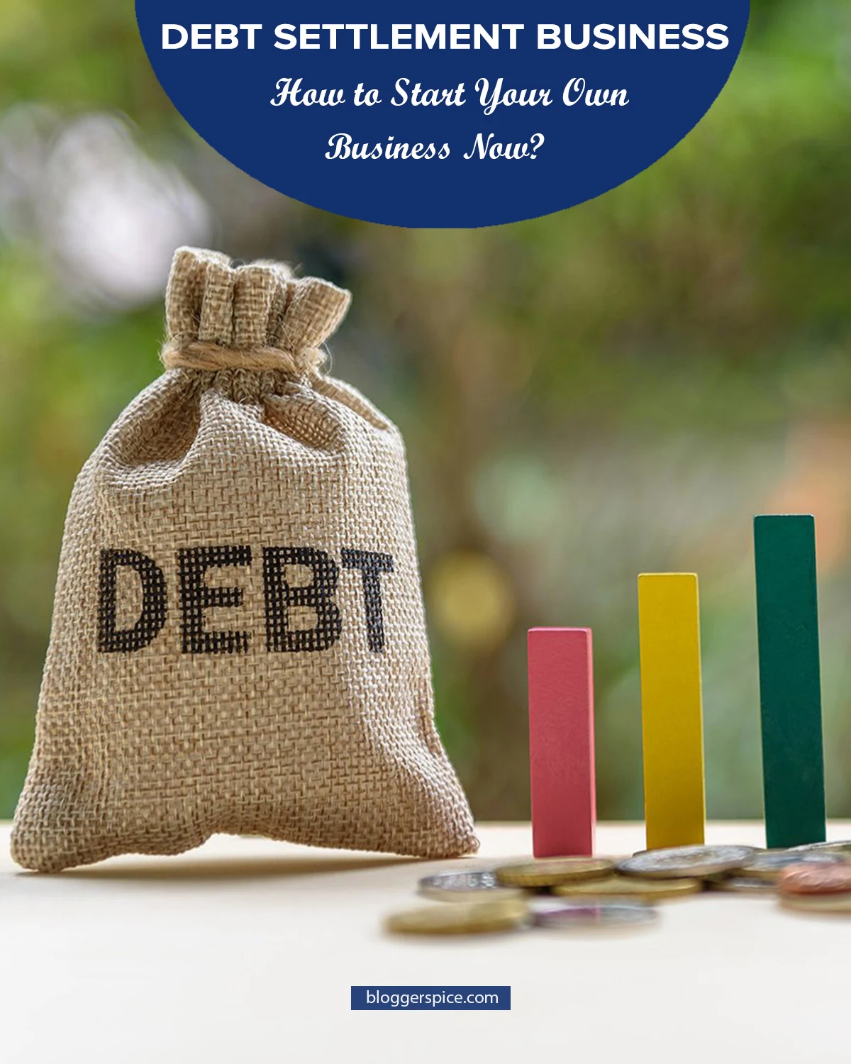 Start a debt settlement company | Start A Debt Settlement Business