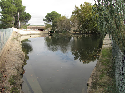 SANT MAGÍ DE LA BRUFAGANYA A LA BISBAL DEL PENEDÈS PR-C-224 AMB VARIANTS, Bassa Gran d'Aiguaviva - El Montmell