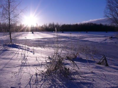 winter scene wallpaper. winter scene wallpaper.