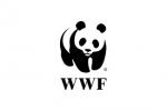 WWF India Recruitment 2019 Manager Vacancies