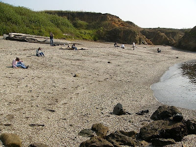 Berkunjung ke pantai KACA di California