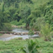 View album