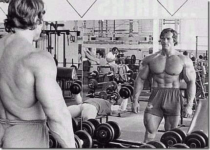 arnold schwarzenegger reflexion