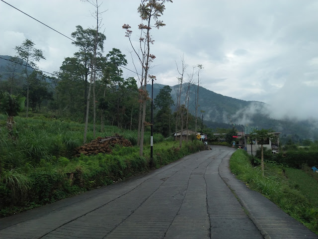 PENDAKIAN GUNUNG UNGARAN via BASECAMP MAWAR