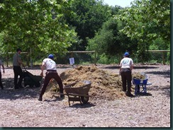Dog park, CCC work day, May 13 014