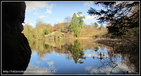 woodland adventures, lake reflections, Lake Wood, Woodland Trust