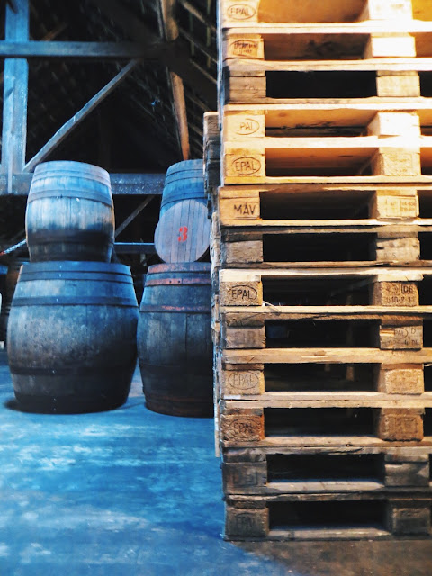 brasserie cantillon, brussels, belgium, belgian beer, brewery tour