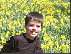 Daffodil gardens 025