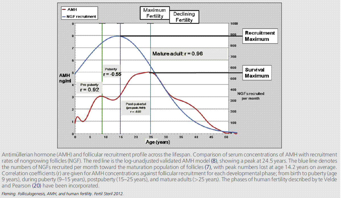 AMH+and+age+2
