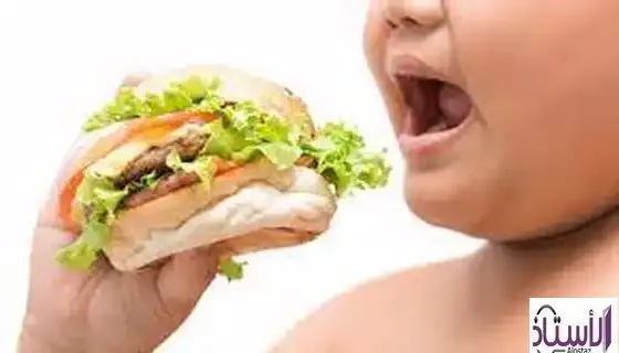 The-effects-of-unhealthy-sandwiches-on-children