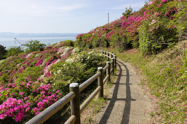 島根県松江市美保関町美保関 五本松公園からの眺望
