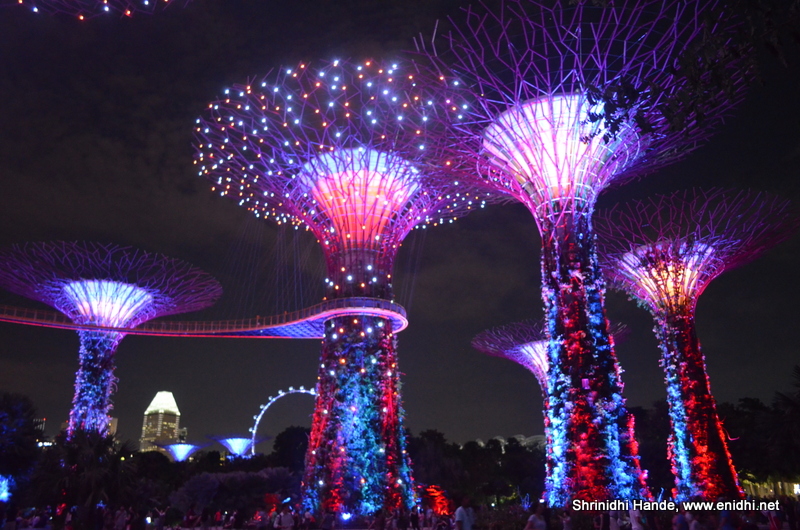 Garden By The Bay Open Hours