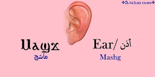 الأذن باللغة القبطية - اللغة المصرية القديمة