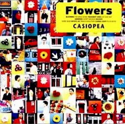 Casiopea Flowers