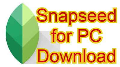 Snapseed for PC 