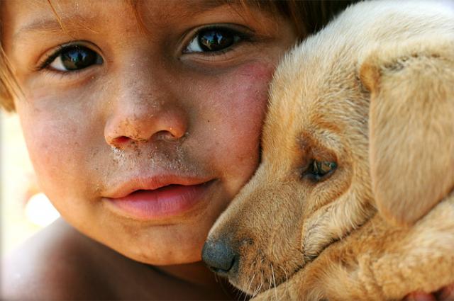 Kids and Pets Seen On www.coolpicturegallery.us