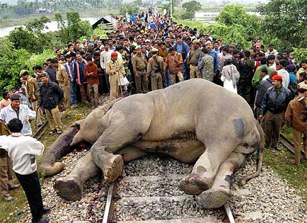 O perigoso traficante, conhecido como Elefante da Vintém, é morto em favela no Rio.