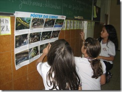 aula do Guilherme cobras 2009 023