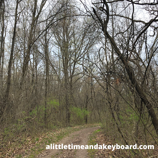 Rustic trails at Beverly Lake Forest Preserve